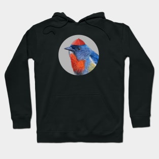 Black-sided flowerpecker Hoodie